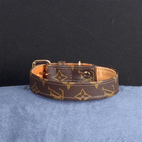louis vuitton halsband kat